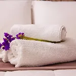 Vivar Hotel